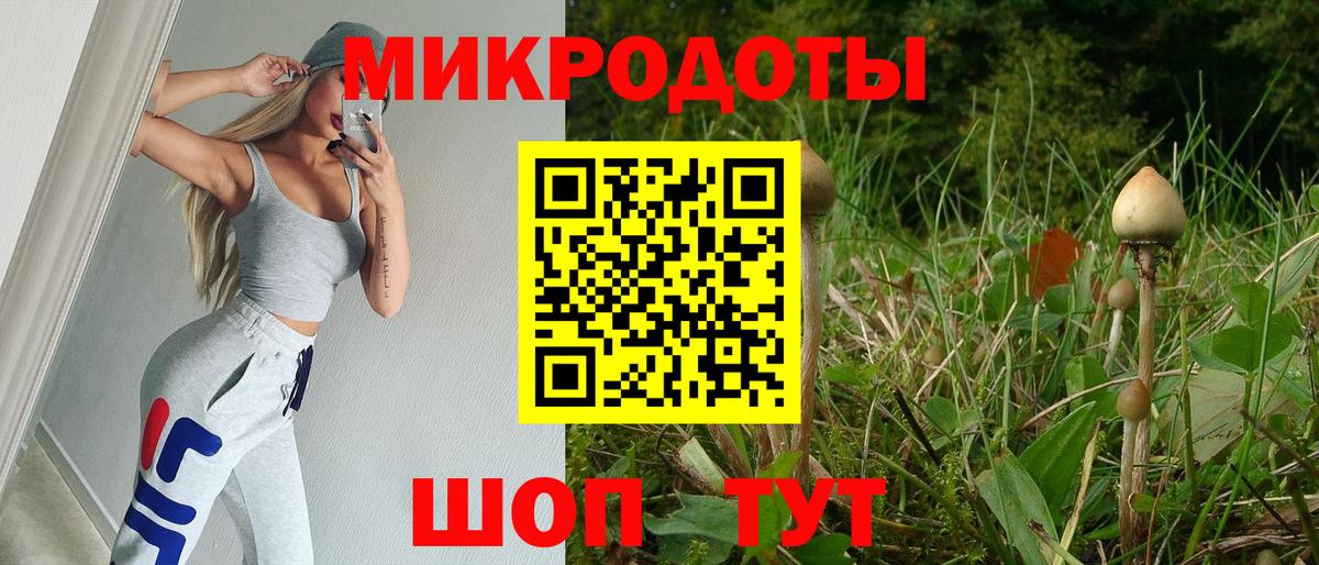 Галлюциногенные грибы Psilocybine cubensis Тверь